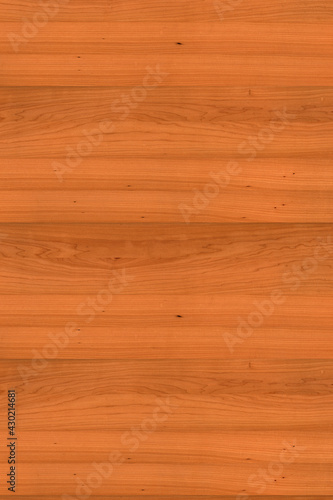Wallpaper Mural brown maple wood tree timber backdrop texture structure surface Torontodigital.ca
