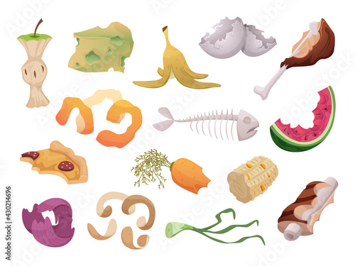 Waste foods. Recycling organic trash fruits meat vegetables fish bones waste exact vector illustrations isolated