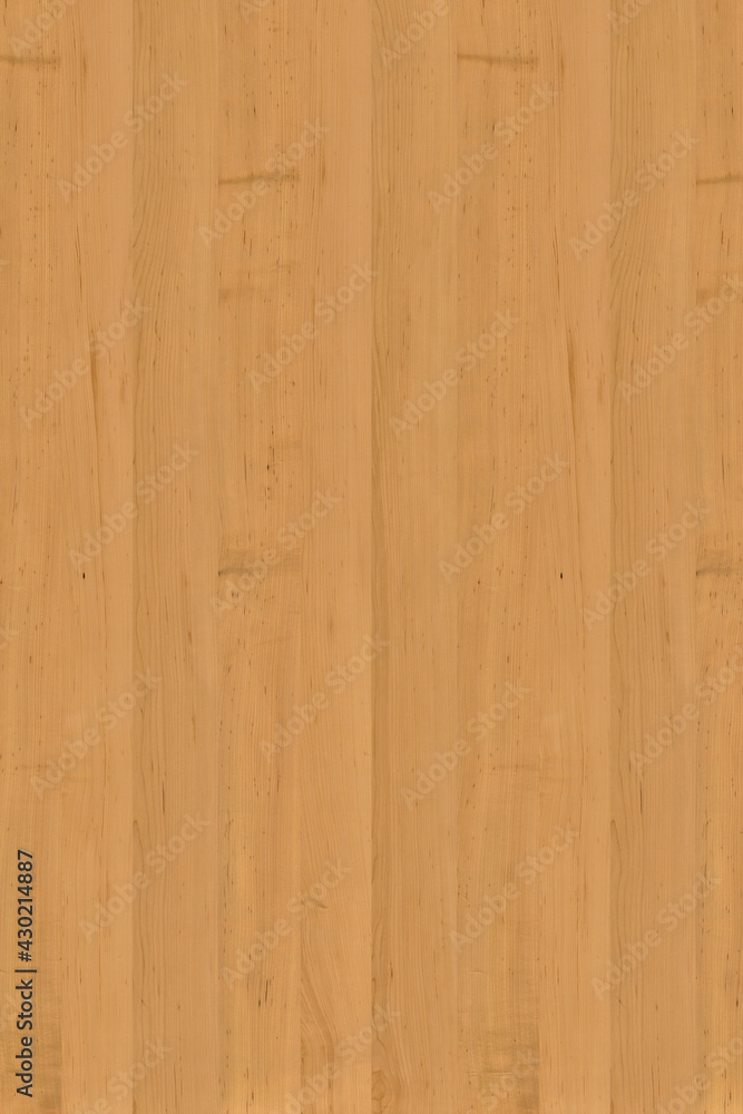 Fototapeta premium brown maple wood tree timber backdrop texture structure surface