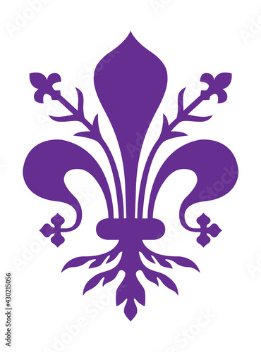 Illustration of the purple lily of Florence