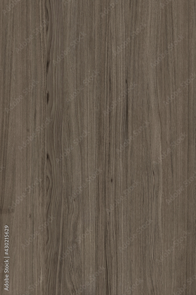 Naklejka premium brown oak tree timber wood surface texture background wallpaper