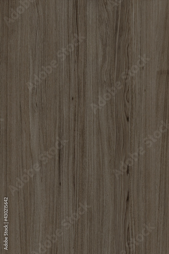 brown oak tree timber wood surface texture background wallpaper © Ampalyze