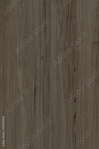 brown oak tree timber wood surface texture background wallpaper