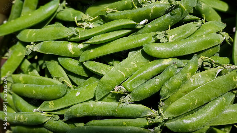 Spring pods of young green peas closeup on retail display of farmers market in Riga, Latvia Spring pods of young green peas closeup on retail display of farmers market in Riga, Latvia