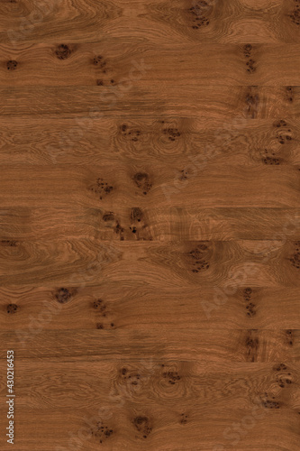 brown oak tree timber wood surface texture background wallpaper