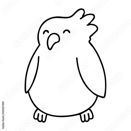 bird most likely a parrot