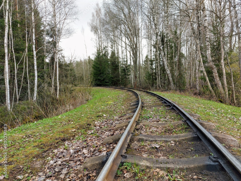 Obraz premium railway in the woods