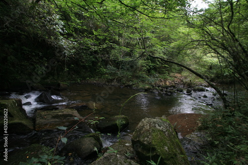 夏の岩屋堂公園、水場に流れ込む渓流の流れ