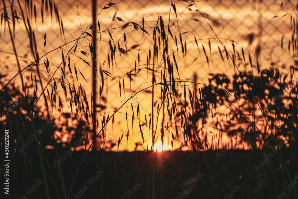 Obraz premium Sicilia