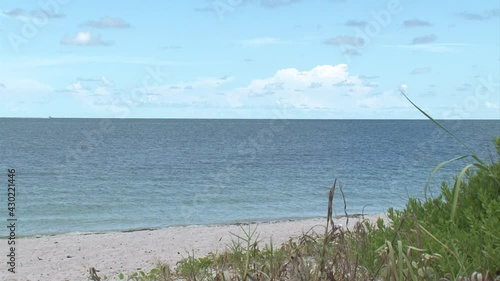 outdoors-empty beach-sunny day-blue sky-clouds-foliage in foreground