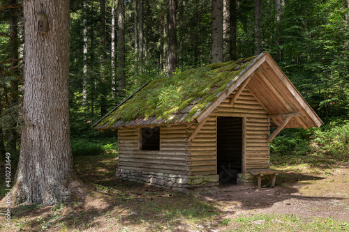 Holzhütte mit moosbedecktem Dach im Wald - Schutzhütte Sauteich Hütte bei Freudenstadt im Schwarzwald, Deutschland