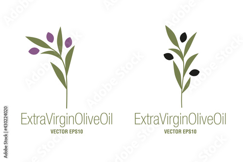 Olive branches food isolated on white background. Extra virgin olive oil symbol. Symbol of culture and Mediterranean.