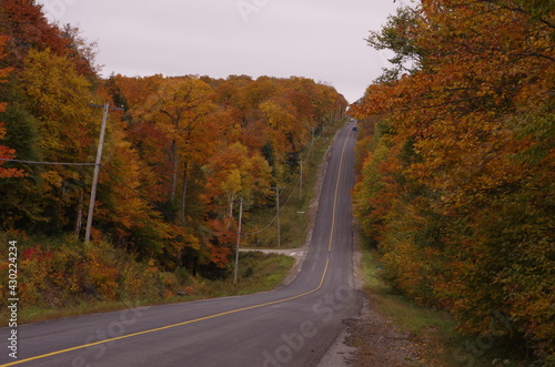 Haliburton forest road 2