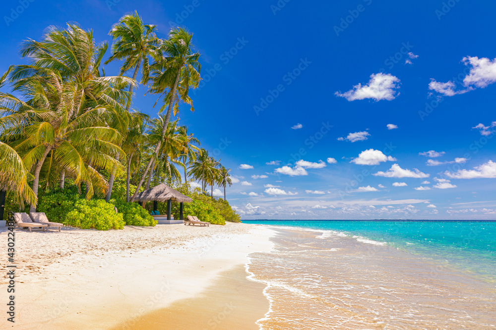 Summer vacation resort beach, coast, shore, seaside of exotic island beach. Tropical landscape, palm trees, sea sand blue sunny sky. Travel landscape, luxury adventure holiday, tourism destination