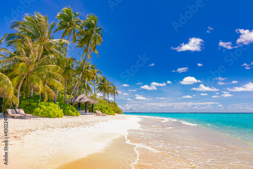 Summer vacation resort beach, coast, shore, seaside of exotic island beach. Tropical landscape, palm trees, sea sand blue sunny sky. Travel landscape, luxury adventure holiday, tourism destination