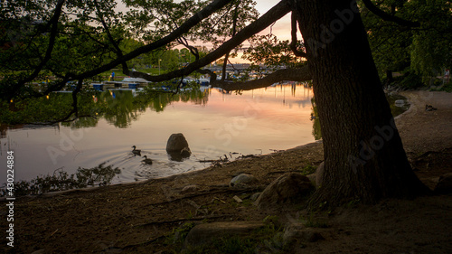 Canvas Print Famous park in the island Djurgarden a sunny spring morning in Stockholm