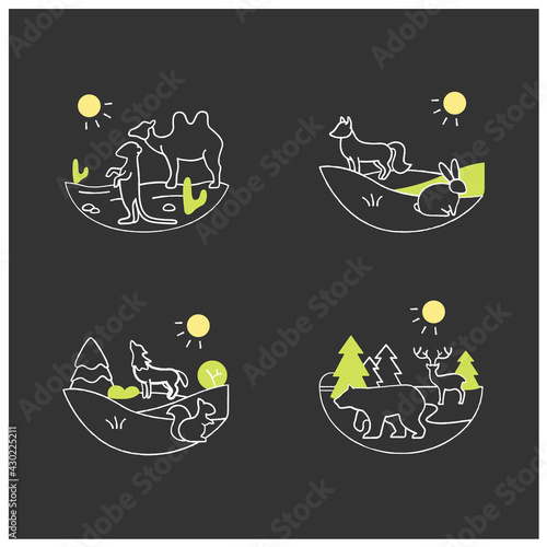 Biodiversity chalk icons set. Consists of desert, grassland,temperate forest, taiga forest ecosystems. Biodiversity concept. Isolated silhouette vector illustrations on chalkboard