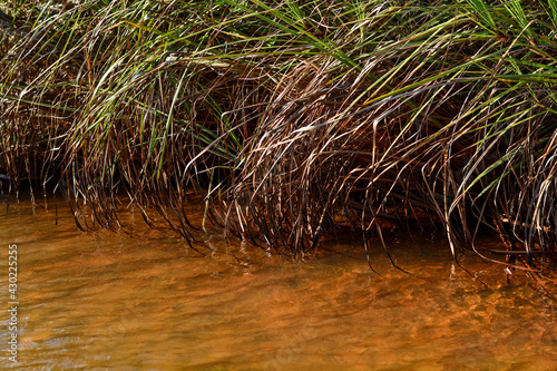 River Bath