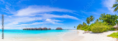 Amazing panorama at Maldives. Luxury resort villas seascape with palm trees, white sand and blue sky. Beautiful summer landscape. Amazing beach background for vacation holiday. Paradise island concept © icemanphotos