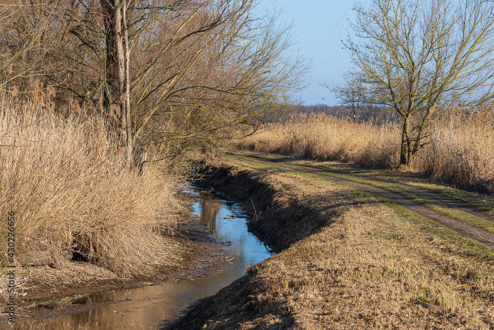The stream leads around a dirt road. The sky is blue. The stream leads around a dirt road. The sky is blue.
