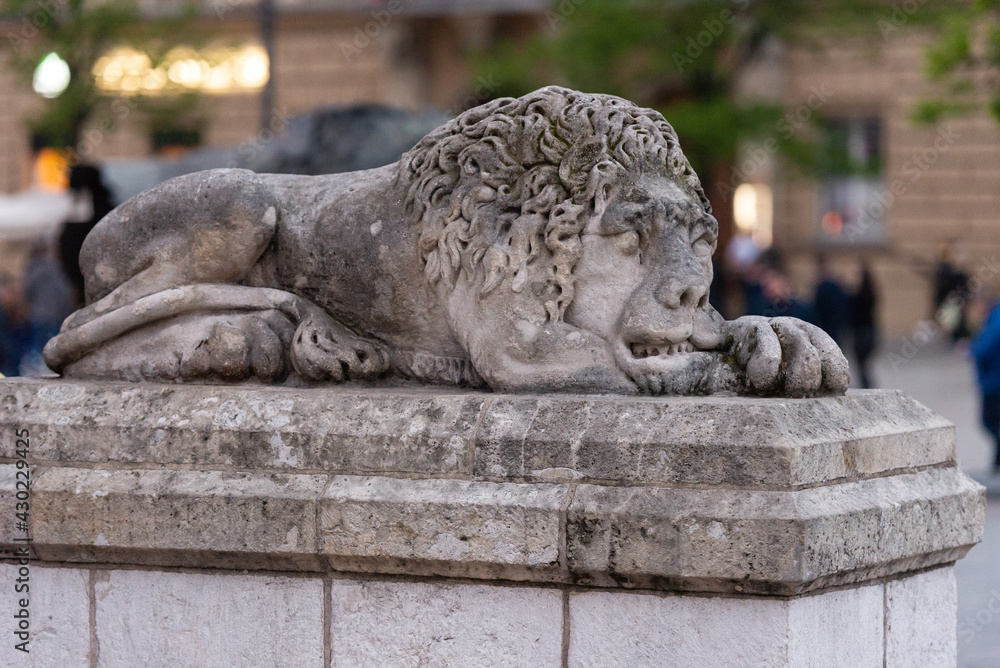 Lion Statue in Krakow. An old statue at the entrance to one of the cathedrals in the square.