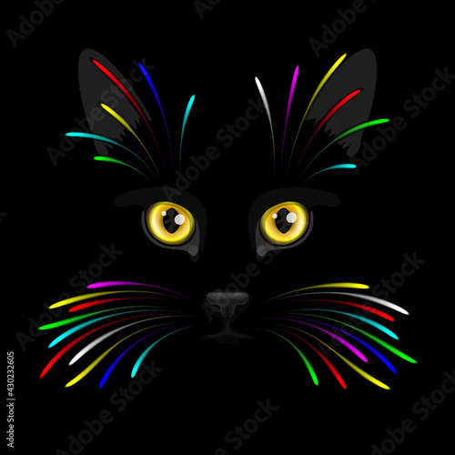 Black cat's face with yellow eyes and bright shining colored vibrissae