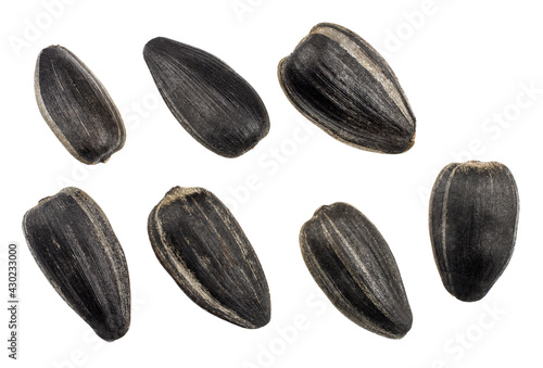 Sunflower seeds isolated on white background, top view