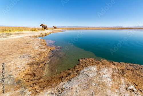 View of the Laguna Lagoon Cejar, Chile