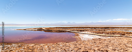 Tebinquinche lagoon, Salar de Atacama, Chile photo