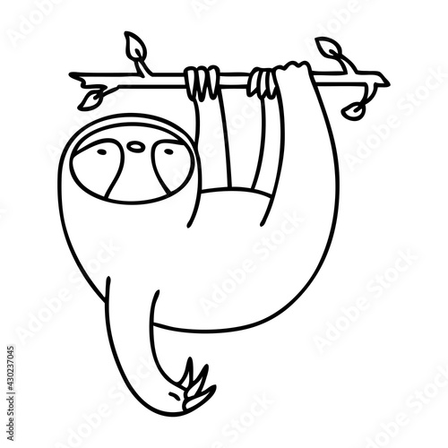 sloth hanging from branch
