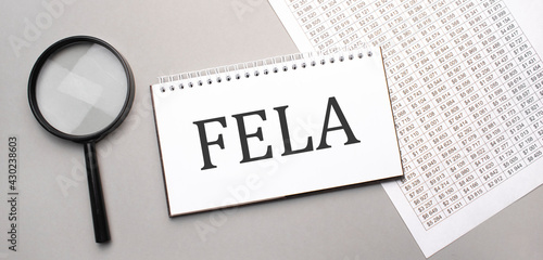 fela sign in white paper notepad and magnifying glass on the grey background