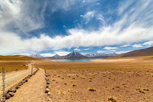 Miscanti Lagoon in the Atacama Desert  Chile