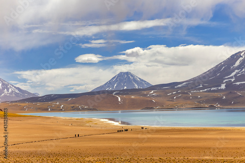 Miscanti Lagoon in the Atacama Desert, Chile