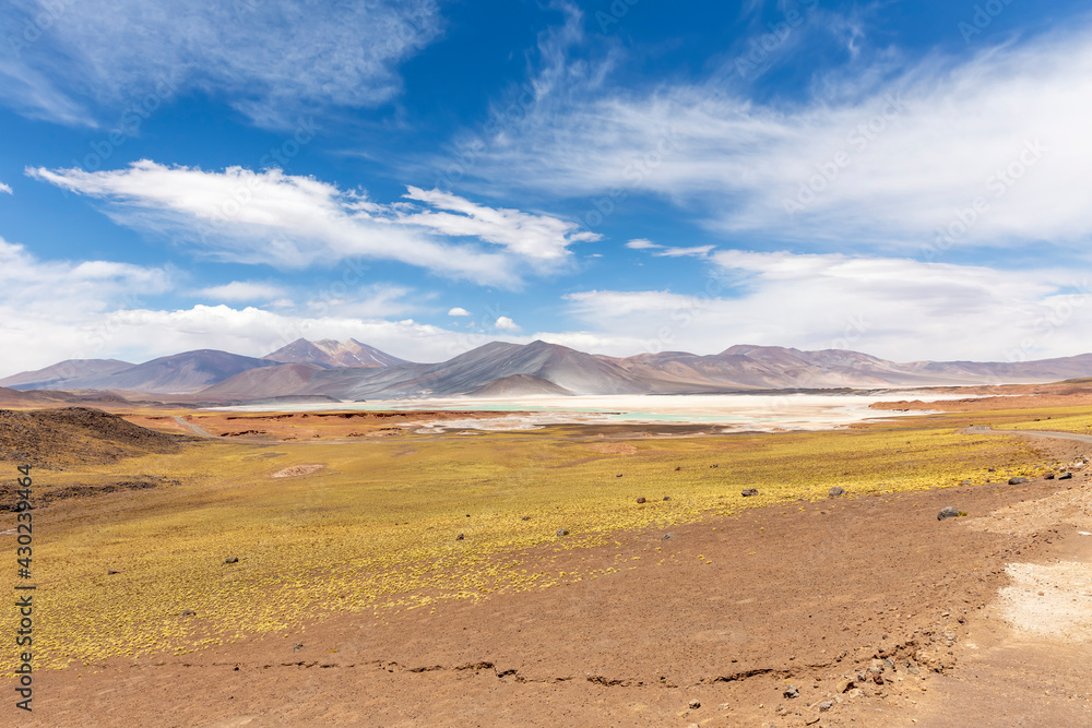 Tuyajto Lagoon in the Atacama Desert, Chile, South America. Tuyajto Lagoon in the Atacama Desert, Chile, South America.