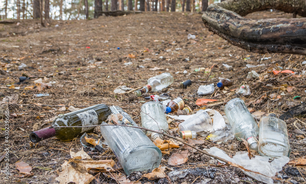 Obraz premium Garbage in a pine forest. Glass bottles of alcohol are scattered in the forest. People illegally thrown garbage into the forest. Concept of man and nature. bottles