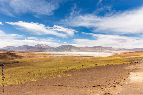 Tuyajto Lagoon in the Atacama Desert, Chile, South America. © NICOLA