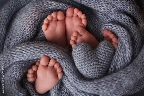 Feet of three newborn babies in a soft blanket. Heart in the legs of newborn triplets. Studio photography.