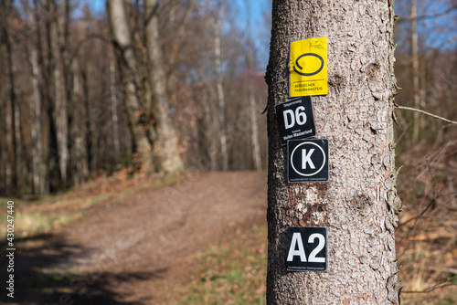 Bergischer Panoramasteig, Germany