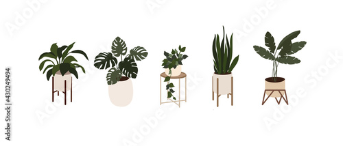 Indoor pot plant set. Different types of house plants in ceramic and plastic pots.  Ficus, monstera, protea  in various pot, vase. Plants in the Scandinavian style. Flat vector cartoon illustration 