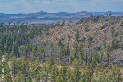 Beautiful view of the high altitude in Apache Sitgreaves National Forest on the White Mountains, Arizona