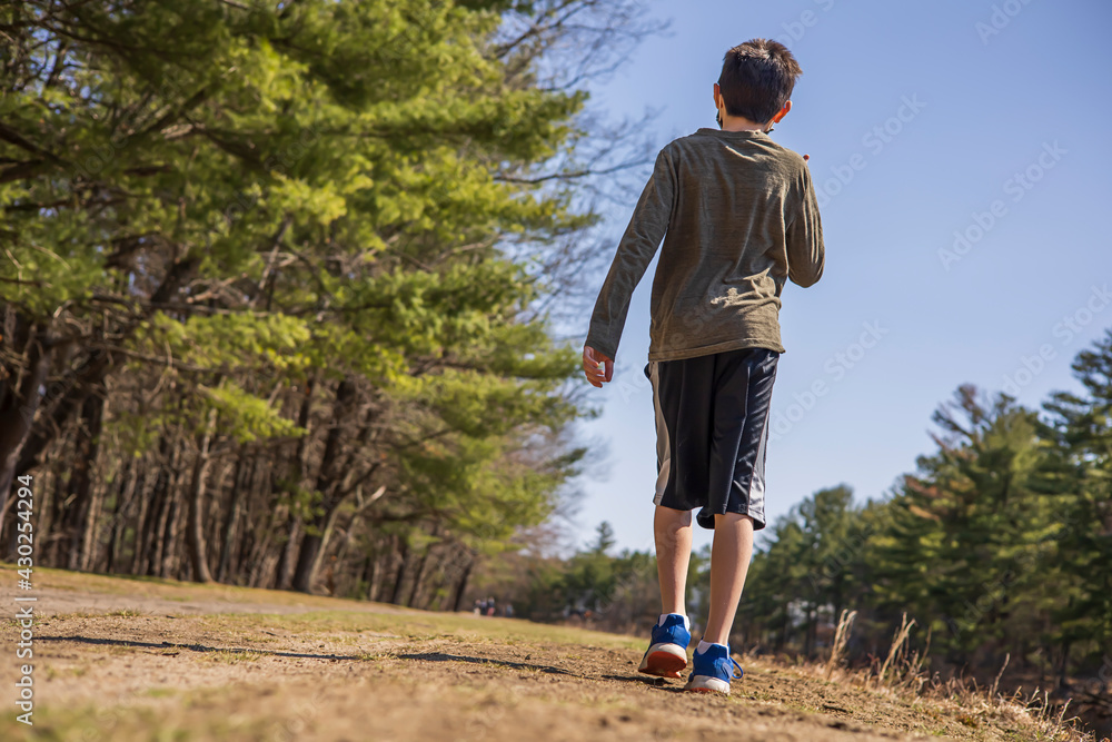 Child walking down a path through the middle of the forest
