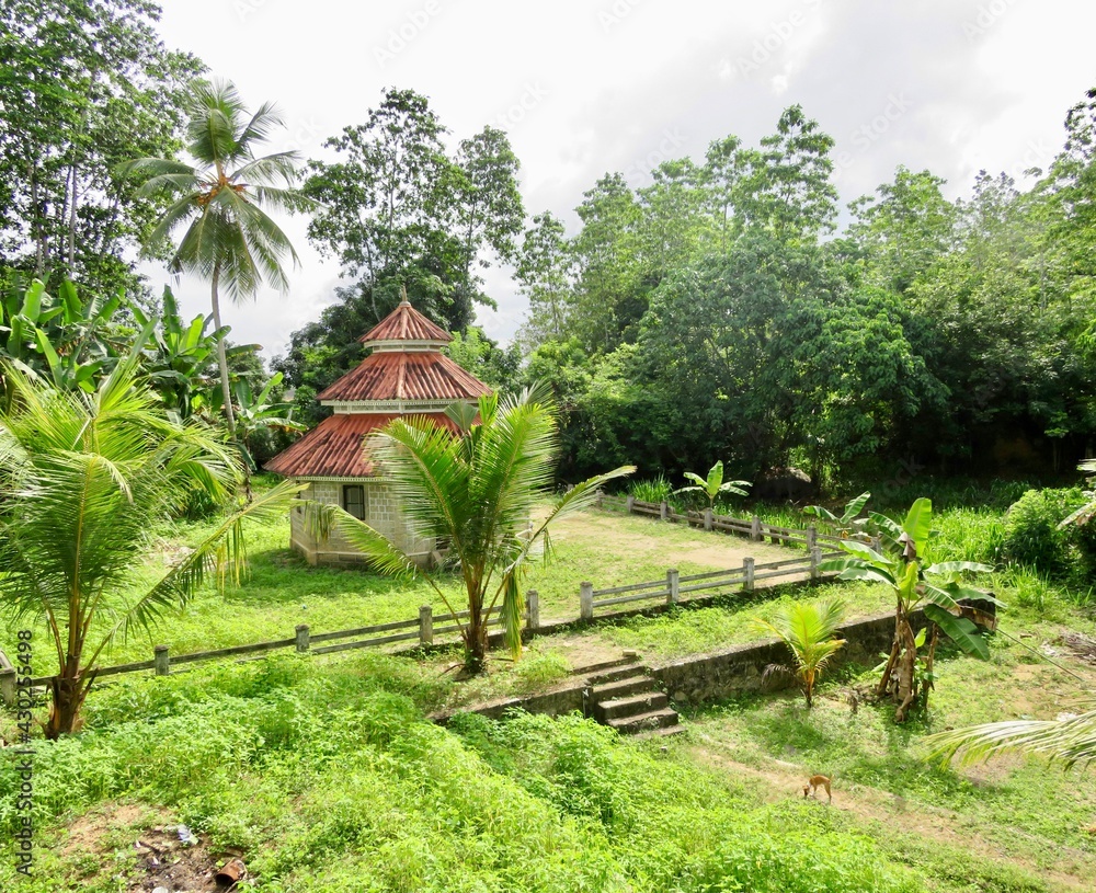 Obraz premium wooden house