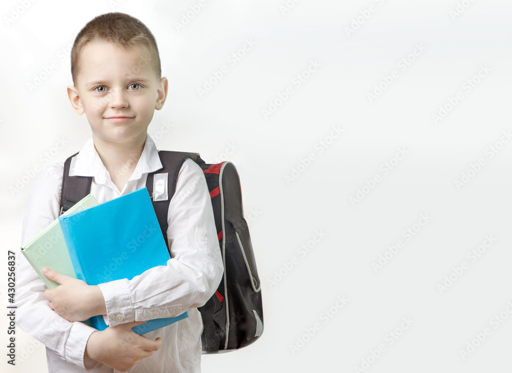 Schoolboy with a backpack and books in hands on a light background Schoolboy with a backpack and books in hands on a light background