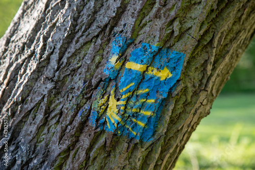 sign of Pilgrim's Route to Santiago de Compostela on a tree, cose up photo