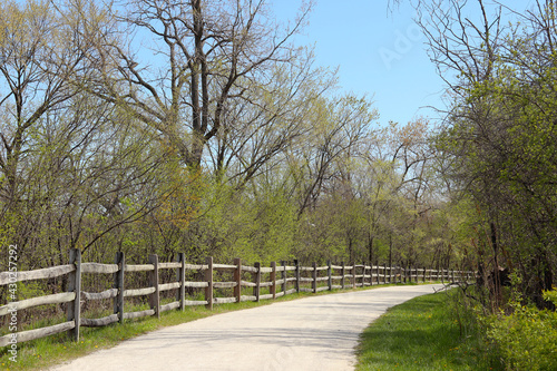 Panoramic spring scenery with fresh green foliage in the forest preserve. Spring natural background.