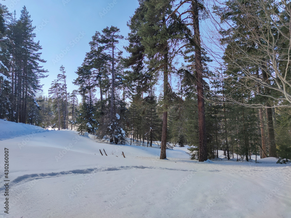Winter view of Byala Cherkva region at Rhodopes Mountain, Bulgaria Winter view of Byala Cherkva region at Rhodopes Mountain, Bulgaria