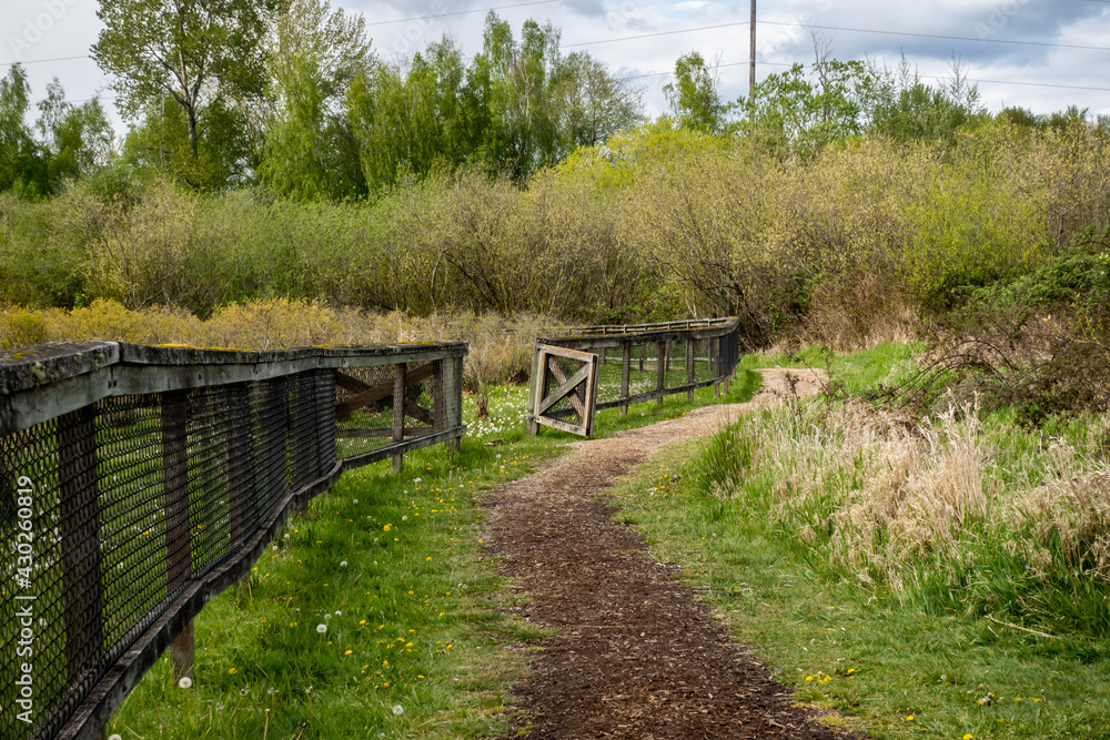 view of a dirt path by a wooden fenced in farm on a cloud filled, sunny day