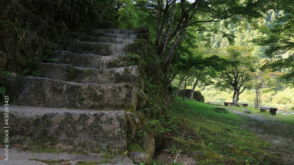 Obraz premium 日陰の石階段と深緑の風景