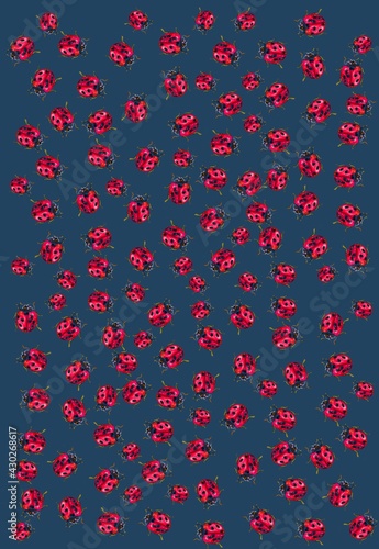 illustration of patterns of a ladybug for textiles or cards, insect