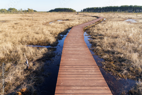Aerial view of wooden walkway on swamp national park, ecological trail path, route for trekking in marsh reserve. Panoramic hiking trail with wood pathway across moor. Autumn in bog, natural landscape
